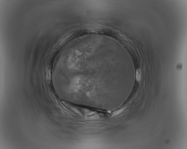 X0000092231155200709281058