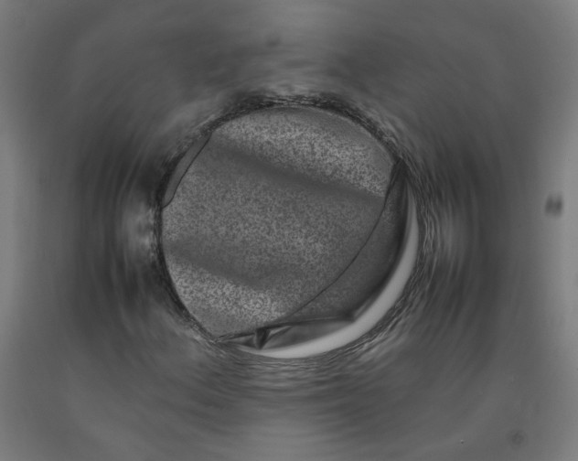 X0000092231156200709281058
