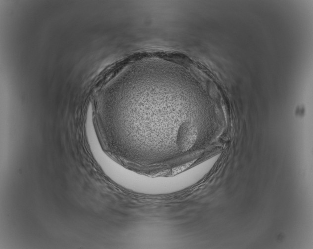 X0000092231157200709281058