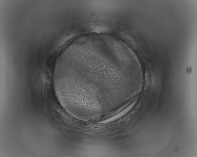 X0000092231158200709281058