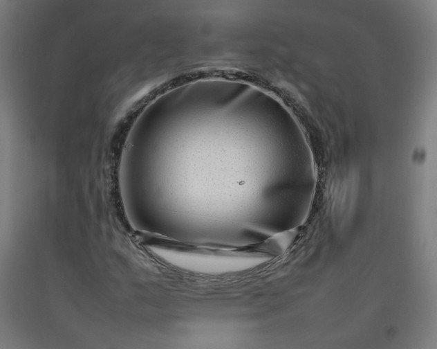 X0000092231159200709281058
