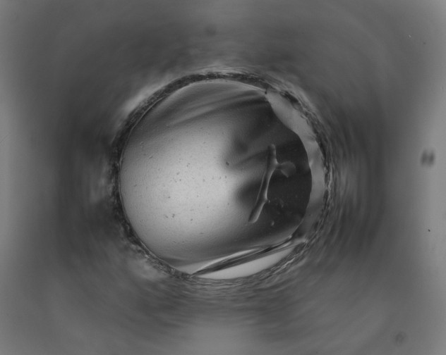 X0000092231160200709281058