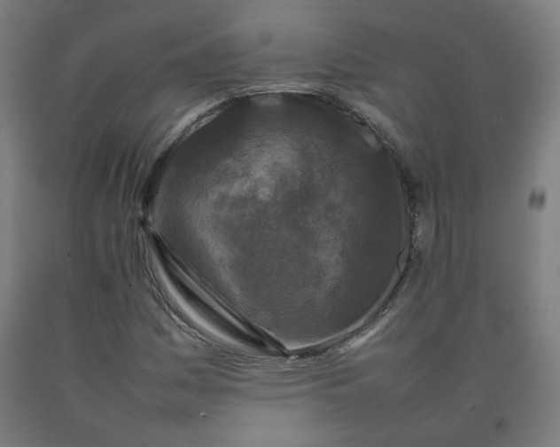 X0000092231161200709281058
