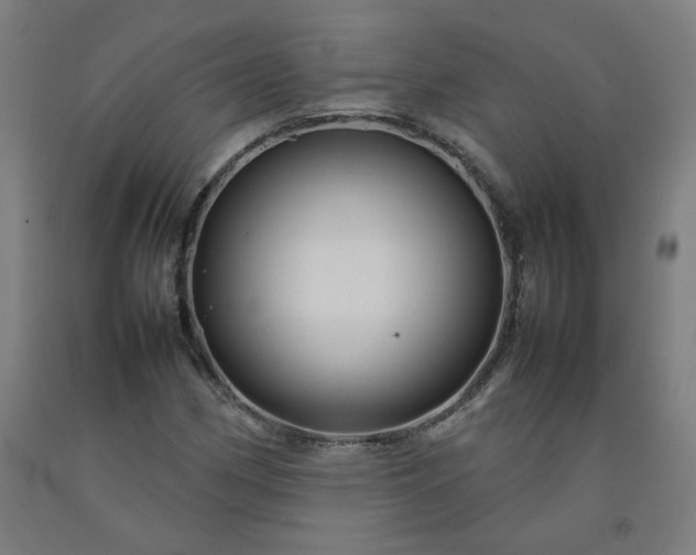 X0000092231162200709281058