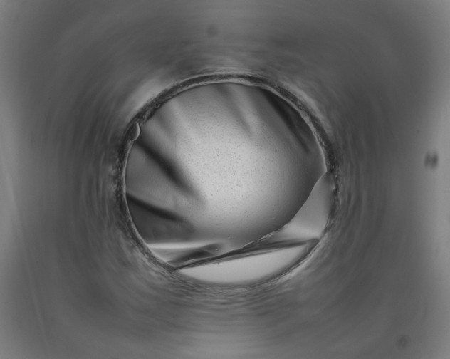 X0000092231163200709281058