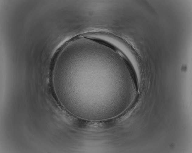 X0000092231165200709281058