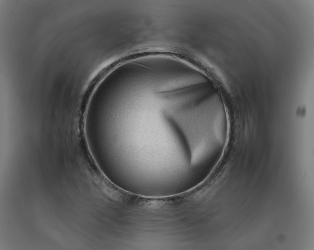 X0000092231166200709281058
