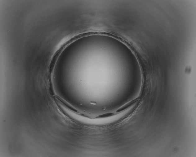 X0000092231168200709281058
