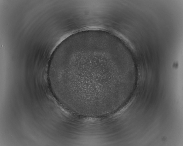 X0000092231170200709281058