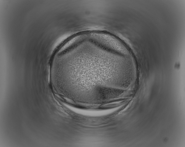 X0000092231171200709281058