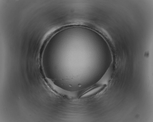 X0000092231172200709281058