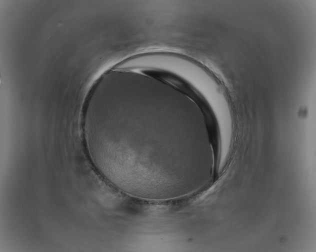 X0000092231173200709281058