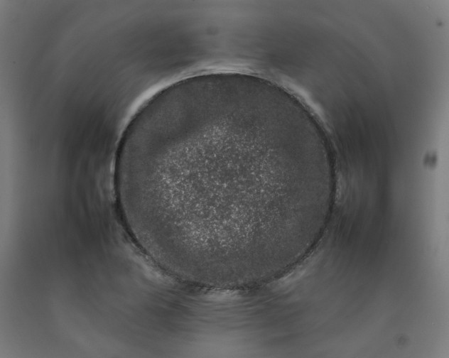 X0000092231174200709281058