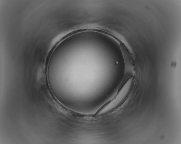 X0000092231176200709281058