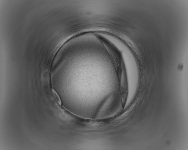 X0000092231177200709281058