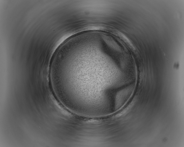 X0000092231178200709281058
