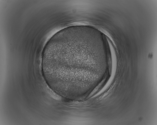 X0000092231179200709281058
