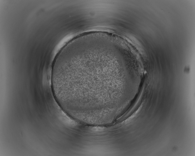 X0000092231180200709281058
