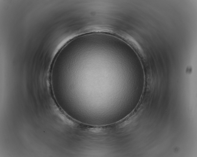 X0000092231182200709281058