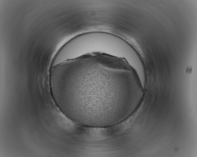 X0000092231184200709281058