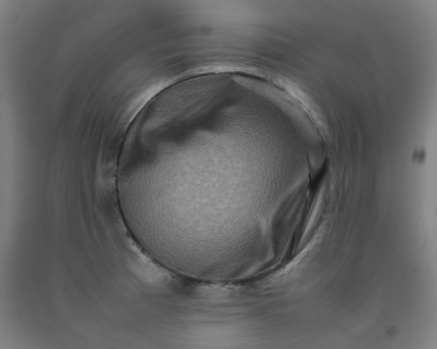X0000092231185200709281058