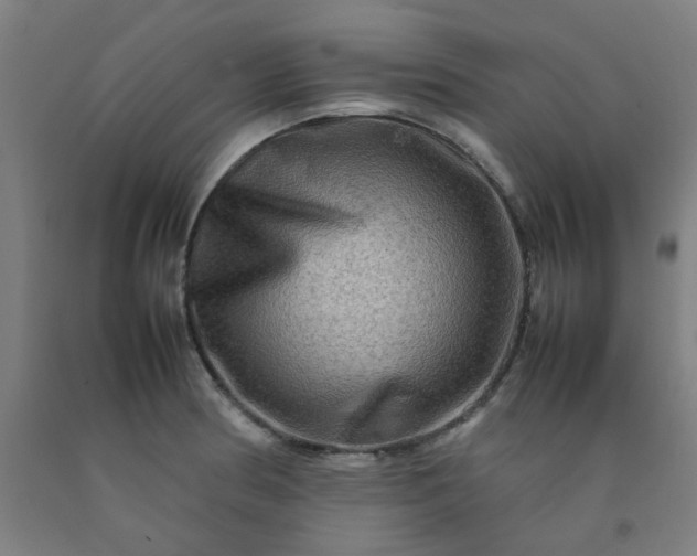 X0000092231186200709281058