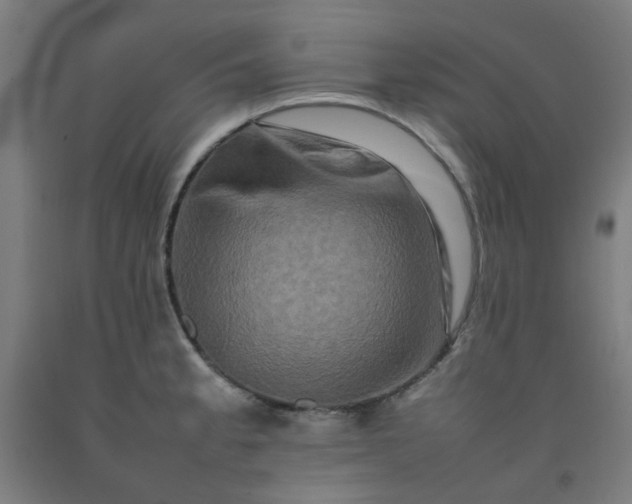 X0000092231189200709281058