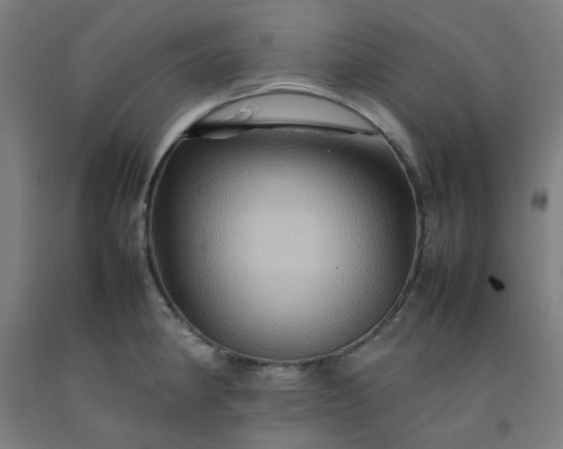 X0000092231190200709281058