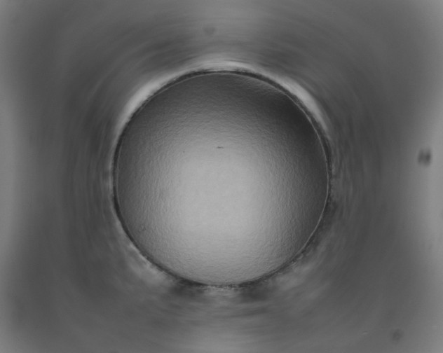 X0000092231191200709281058