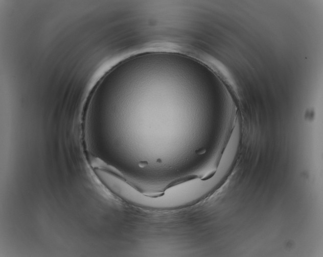 X0000092231192200709281058
