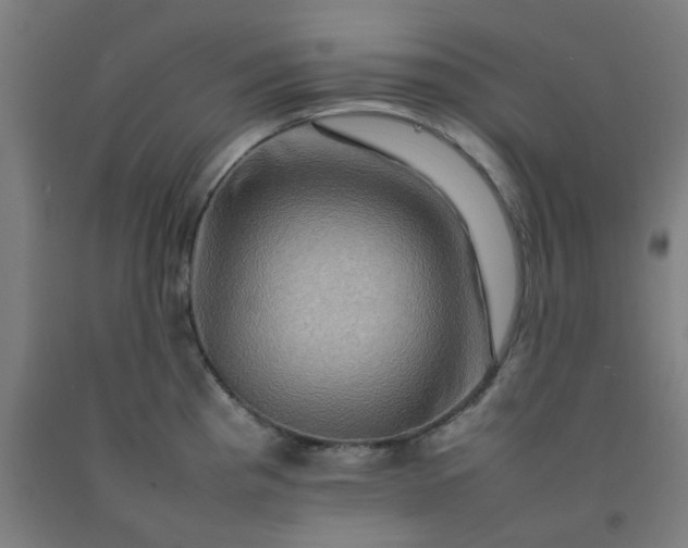X0000092231193200709281058