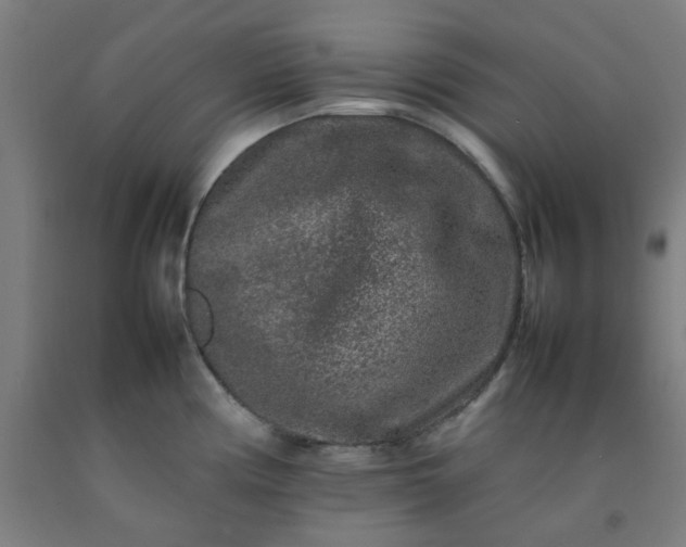 X0000092231194200709281058