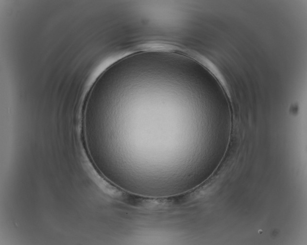 X0000092231195200709281058