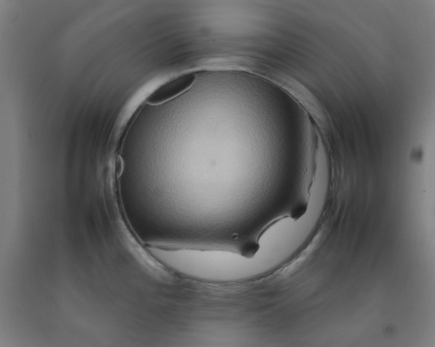 X0000092231196200709281058