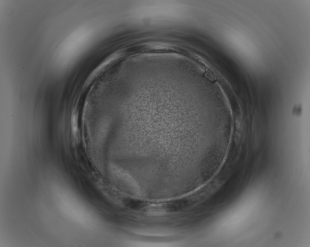 X0000092231198200709281058