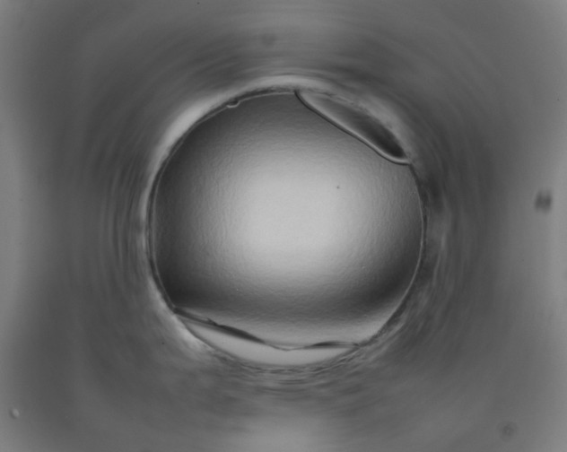 X0000092231199200709281058