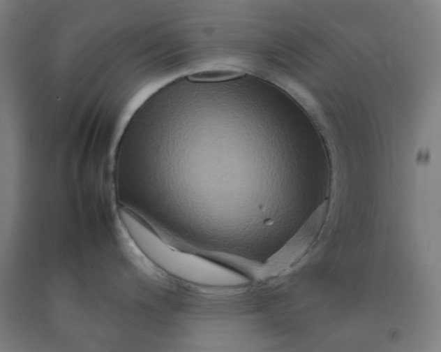X0000092231200200709281058