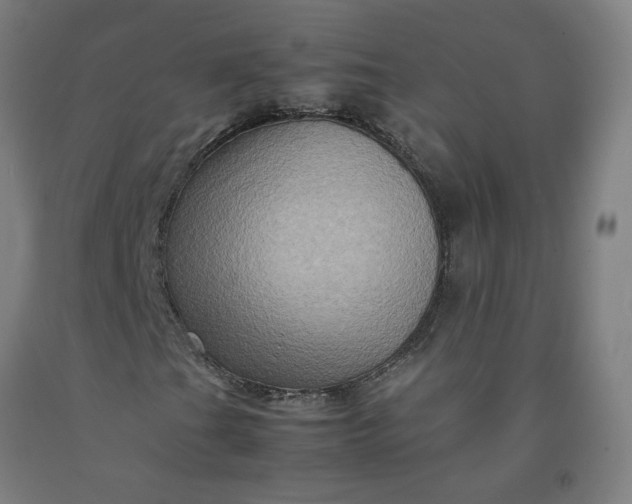 X0000092231201200709281057