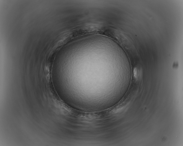 X0000092231203200709281057
