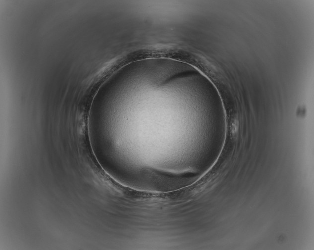 X0000092231204200709281057