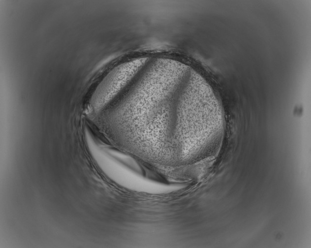 X0000092231206200709281057
