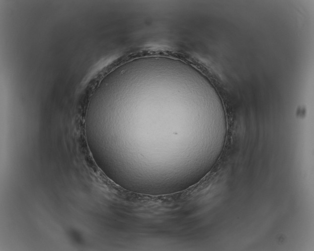 X0000092231207200709281057