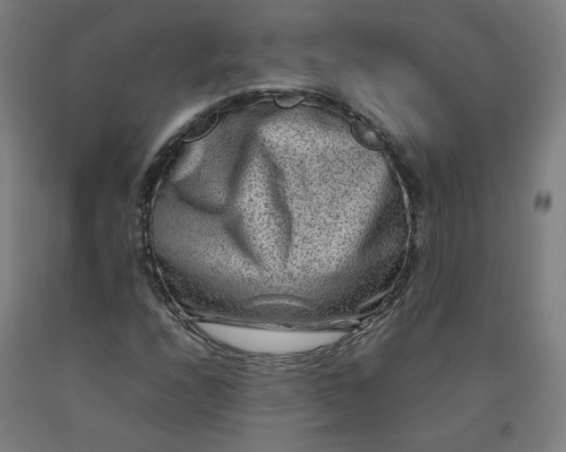 X0000092231208200709281057