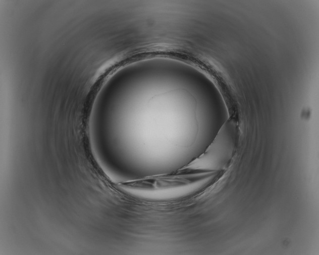 X0000092231210200709281057