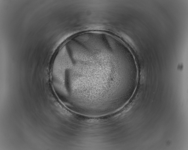 X0000092231212200709281057