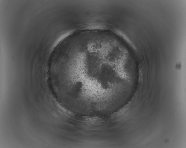 X0000092231213200709281057