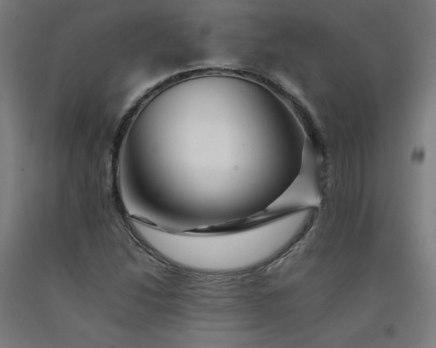 X0000092231214200709281057