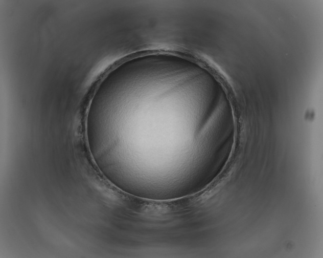 X0000092231215200709281057