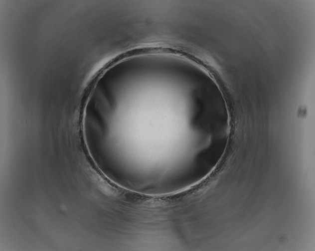 X0000092231216200709281057