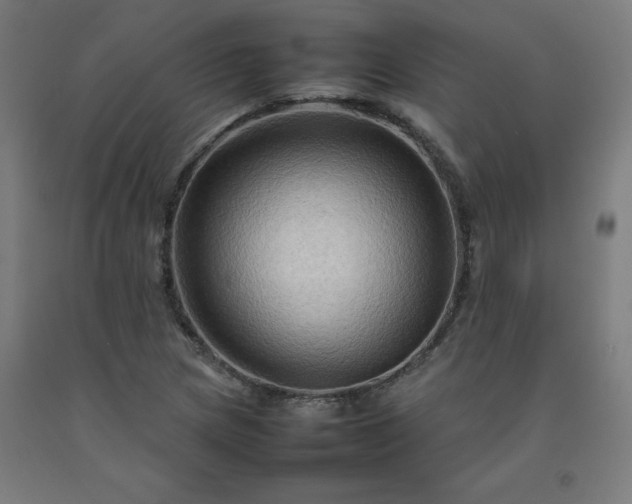 X0000092231217200709281057